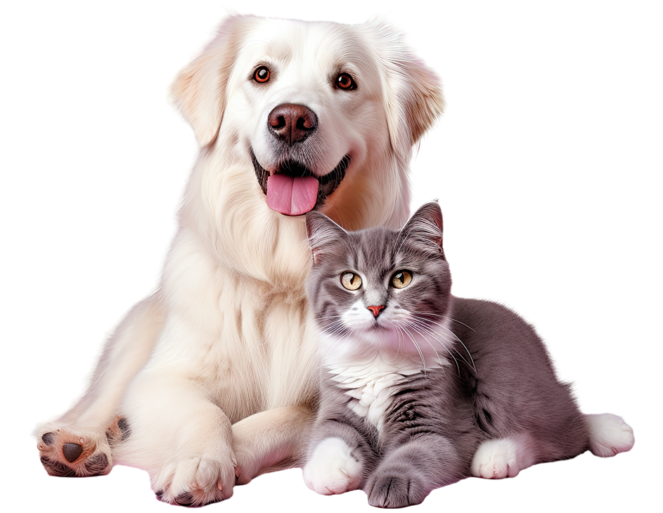 Covellams comercialización alimentos y productos farmacéuticos para mascotas banner