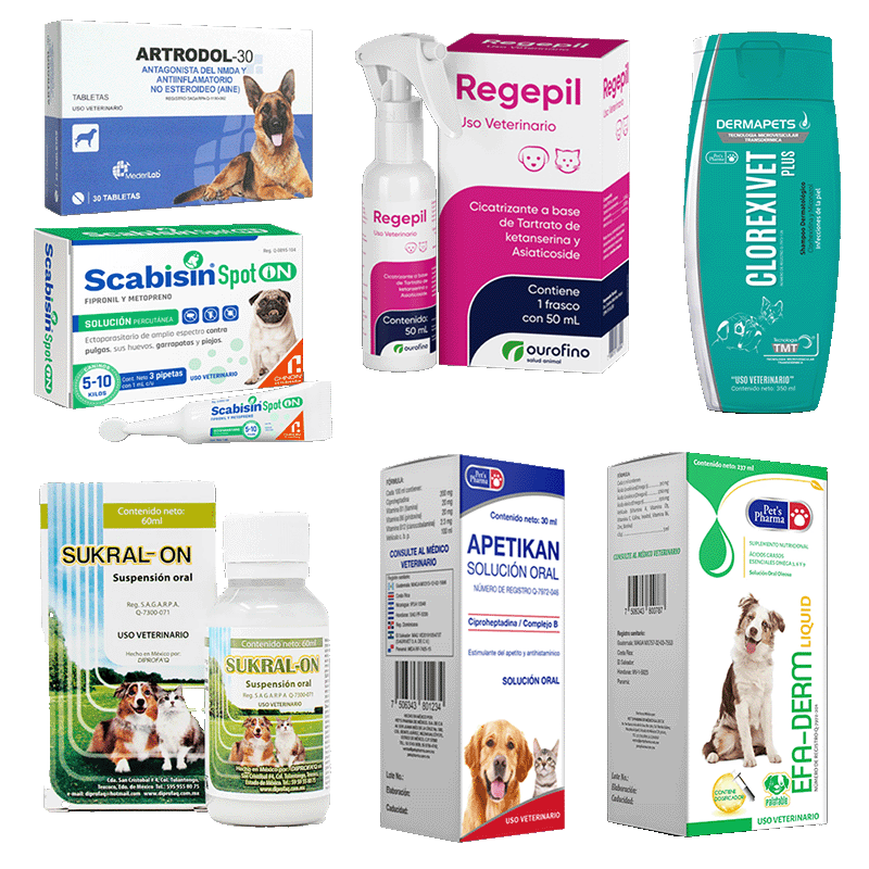 Covellams comercialización alimentos y productos farmacéuticos para mascotas medicamentos